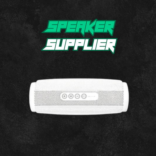 Speaker supplier